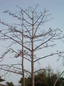 020311-01.JPG (57747 Ӧ줸)