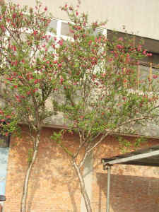020311-02.JPG (81749 Ӧ줸)