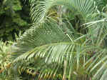 020425-14.JPG (134933 Ӧ줸)