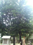 020625-04.jpg (61502 Ӧ줸)