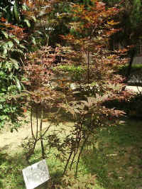 020625-06.jpg (102102 Ӧ줸)
