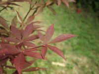 020625-07.jpg (96882 Ӧ줸)