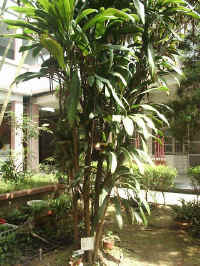 020625-11.jpg (92741 Ӧ줸)