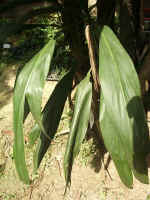 020625-13.jpg (64437 Ӧ줸)