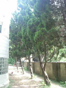 020709-20.JPG (62926 Ӧ줸)