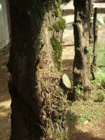 020709-21.JPG (68224 Ӧ줸)