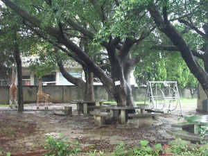 020712-02.JPG (135882 Ӧ줸)