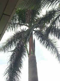 020712-29.jpg (69792 Ӧ줸)