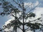 020712-31.JPG (128328 Ӧ줸)