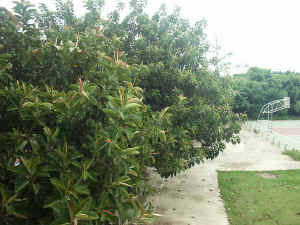 020712-32.jpg (135411 Ӧ줸)