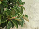 020712-33.jpg (117058 Ӧ줸)