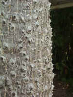 020712-35.JPG (63067 Ӧ줸)