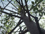 020712-36.JPG (116146 Ӧ줸)