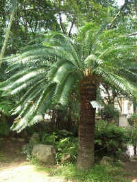 020712-43.JPG (101721 Ӧ줸)