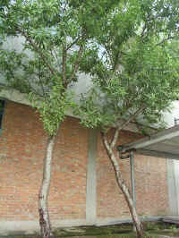 020712-44.JPG (81981 Ӧ줸)