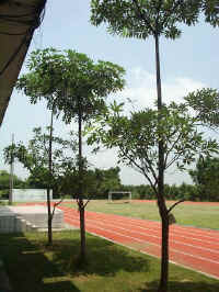 020730-14.JPG (75559 Ӧ줸)
