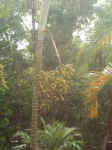 020823-01.JPG (68202 Ӧ줸)