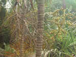 020823-02.JPG (136770 Ӧ줸)