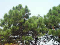 020902-07.JPG (130529 Ӧ줸)
