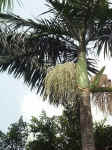 020902-12.JPG (88581 Ӧ줸)