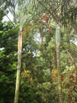 020902-23.JPG (101155 Ӧ줸)