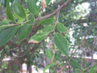 020904-02.jpg (100184 Ӧ줸)
