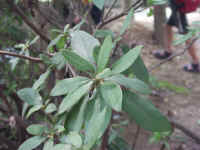 020904-05.jpg (102161 Ӧ줸)
