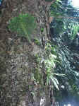 020909-11.jpg (94654 Ӧ줸)