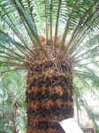 020909-13.jpg (107190 Ӧ줸)