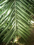 020909-14.jpg (78800 Ӧ줸)