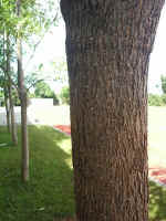 020909-18.jpg (60531 Ӧ줸)