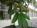 020909-19.jpg (109165 Ӧ줸)