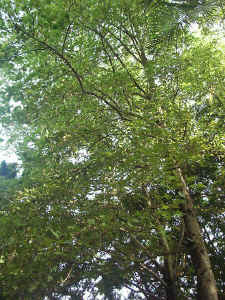020927-10.JPG (114992 Ӧ줸)