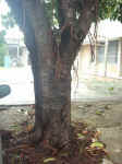 020930-02.JPG (60252 Ӧ줸)