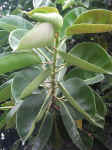 020930-03.JPG (56351 Ӧ줸)