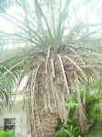 021003-04.JPG (78075 Ӧ줸)