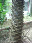 021003-05.JPG (60545 Ӧ줸)