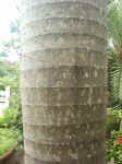 021003-09.JPG (66160 Ӧ줸)