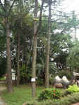 021009-04.JPG (92168 Ӧ줸)