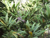 021104-02.JPG (121226 Ӧ줸)