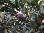 021106-05.JPG (117653 Ӧ줸)