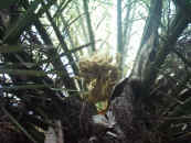 021112-01.JPG (118080 Ӧ줸)
