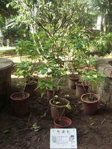 021112-01.jpg (89025 Ӧ줸)