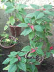 021112-02.jpg (68439 Ӧ줸)