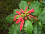 021212-28.JPG (355847 Ӧ줸)