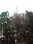 021226-04.JPG (49711 Ӧ줸)
