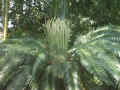 030303-03.JPG (141677 Ӧ줸)