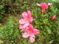 03514005.JPG (105609 Ӧ줸)