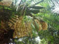 03521032.JPG (129611 Ӧ줸)