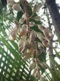 03528035.JPG (48848 Ӧ줸)